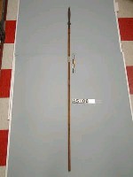 藏品(槍)的圖片